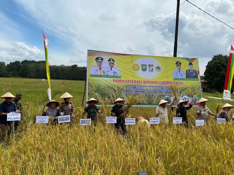 Diwakili Kapolsek Bangkinang Barat, Kapolres Kampar Panen Raya di Desa Sipungguk