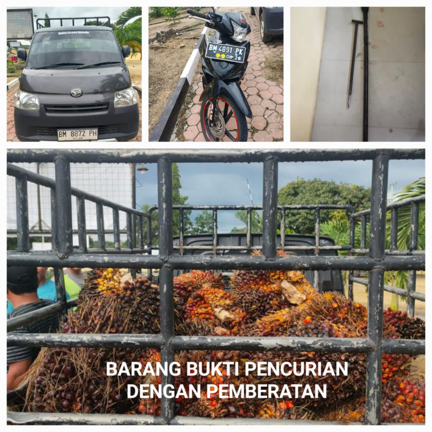 Ninja Sawit PTPN V Tanjung Medan, 2 Pelajar Dilaporkan ke Polisi