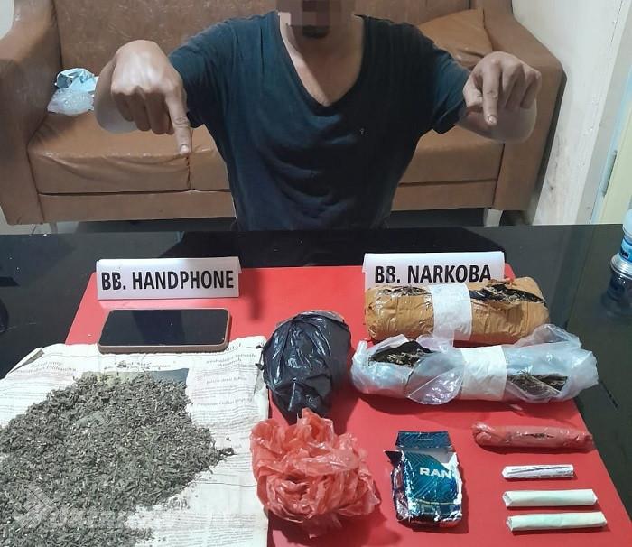 Sedang Menunggu Pembeli, Pengedar Daun Ganja Ditangkap Satnarkoba Polres Kampar di Pinggir Jalan