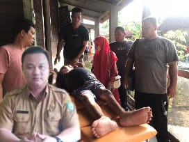 Perut Membesar, Safridah Warga Madina Butuh Bantuan