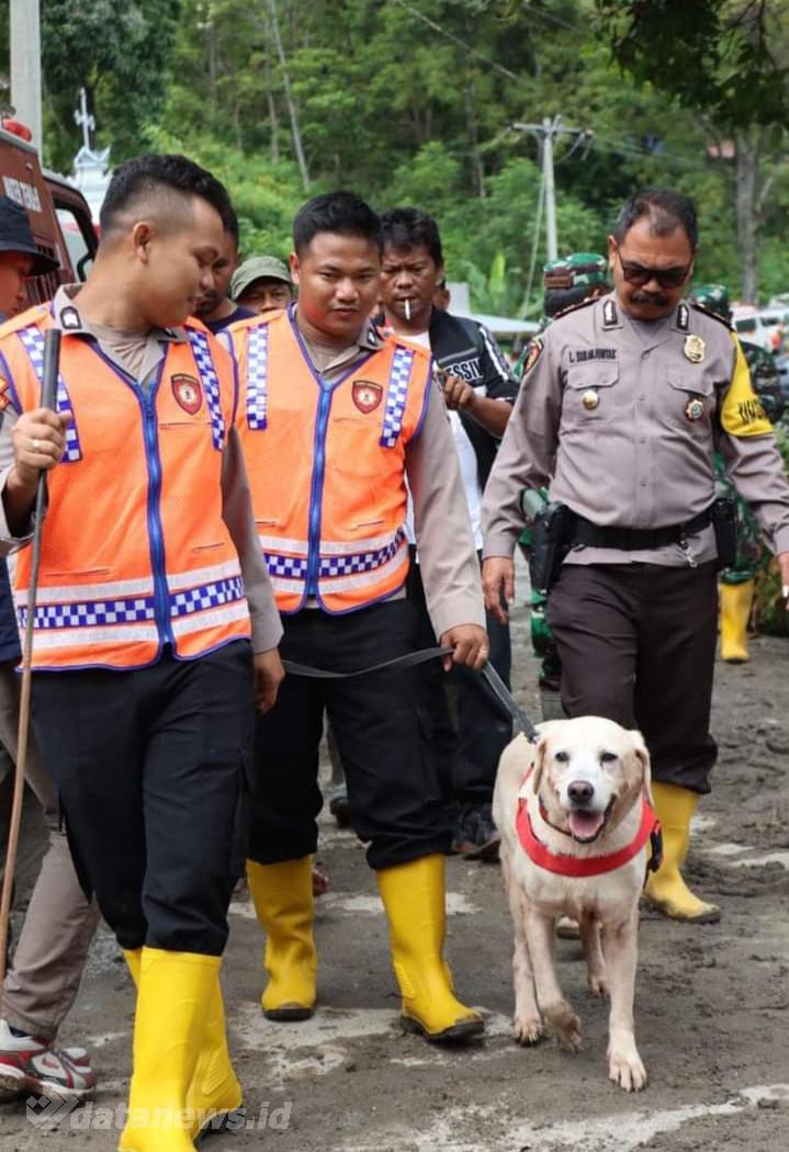 Polda Sumut Turunkan Anjing Pelacak Bantu Pencarian Korban Longsor di Humbahas