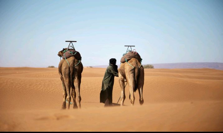 Sa&rsquo;id bin Zaid, Sosok Sahabat yang Doanya Mudah Terkabul