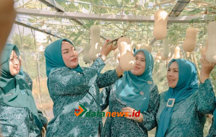 HKG PKK Ke-52, Tim Penggerak PKK Rohil Ikuti Kegiatan Penanaman Cabai Serentak Nasional