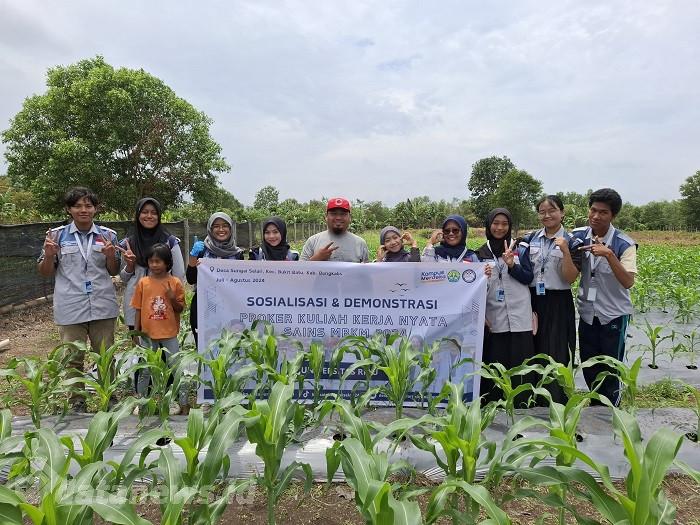 Mahasiswa Kukerta Sains MBKM UNRI Sosialisasi Pembuatan Pupuk Kompos dari Bonggol Pisang