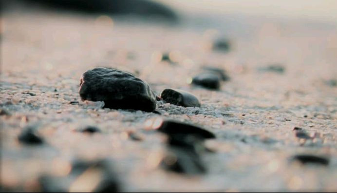 Istinja' dan Istijmar