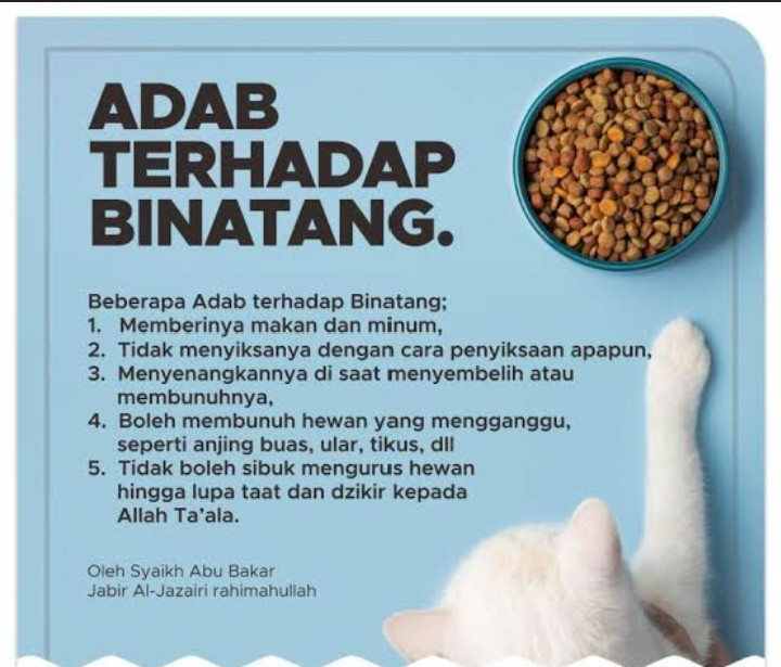 Begini Adab Terhadap Hewan