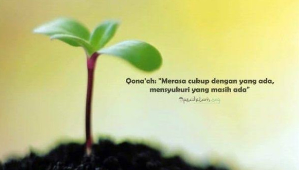 Keutamaan Sifat Qona'ah