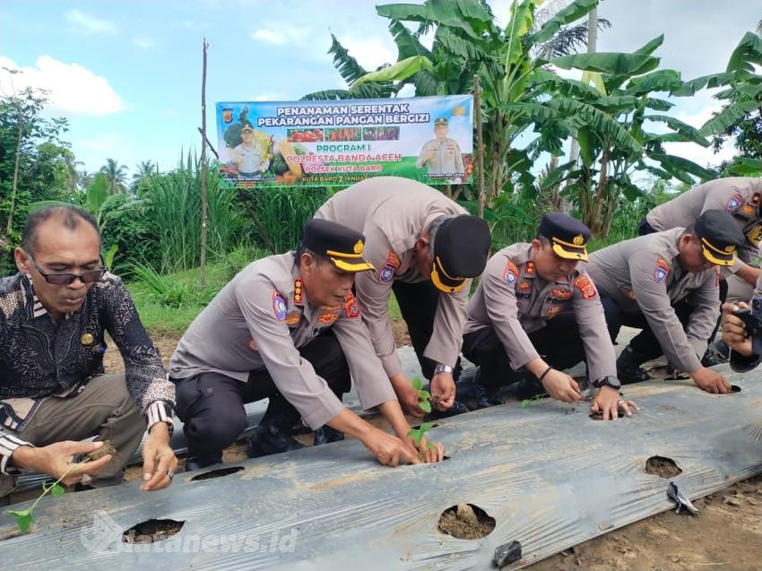 Polda Aceh Bersama Distan Aceh Besar Launching Program Penanaman Pangan Bergizi