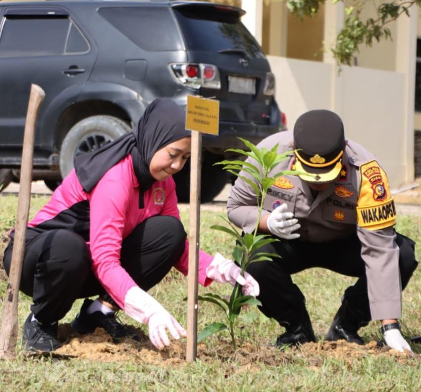 Dukung  Program Kapolda Riau, Kapolres Rohil bersama PJU Tanam Pohon Mangga