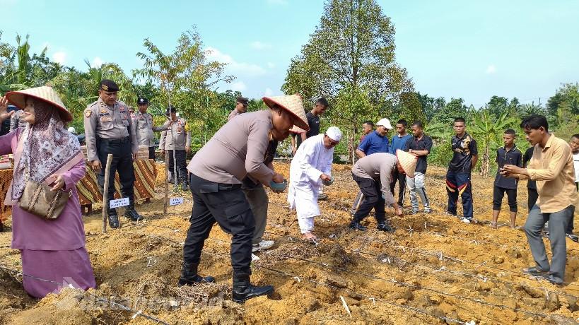 Dukung Ketahanan Pangan Nasional, Polsek Bagan Sinembah Bersama Ponpes Al Majidiyah Tanam Jagung