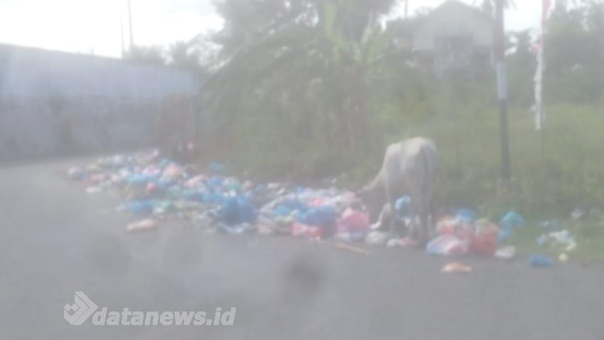 Pemkab Pidie Dinilai Belum Tegas bagi Pembuang Sampah Liar