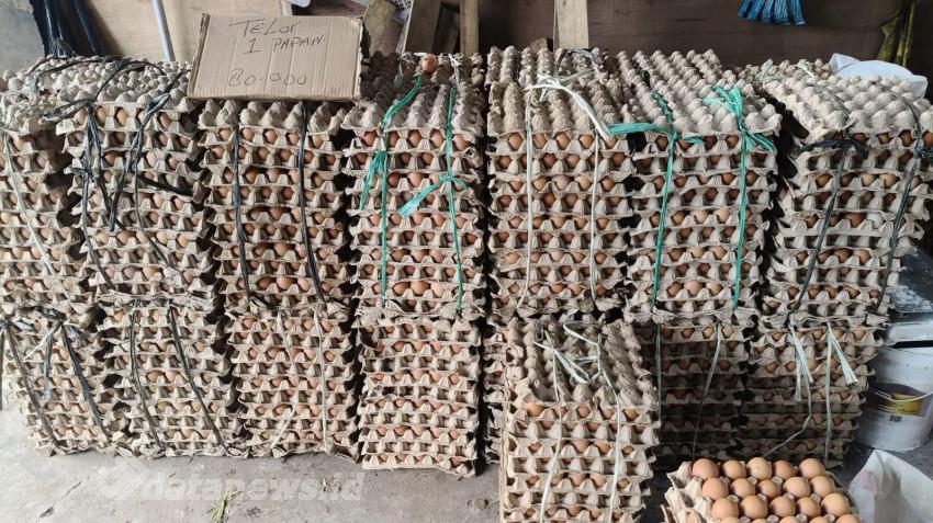 Harga Telur Berangsur Turun