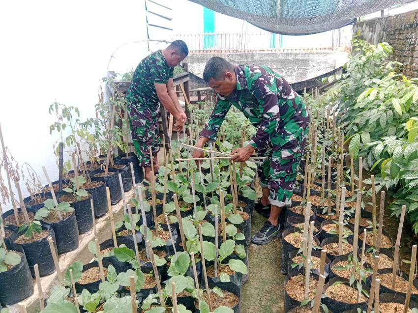 TMMD Ke-129 Kodim 0102/Pidie Mulai Garap Demplot Sayuran, Edukasi Warga Manfaatkan Lahan Kosong
